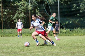 Bild 112 - wBJ Hamburger SV - VfL Wolfsburg : Ergebnis: 5:1
